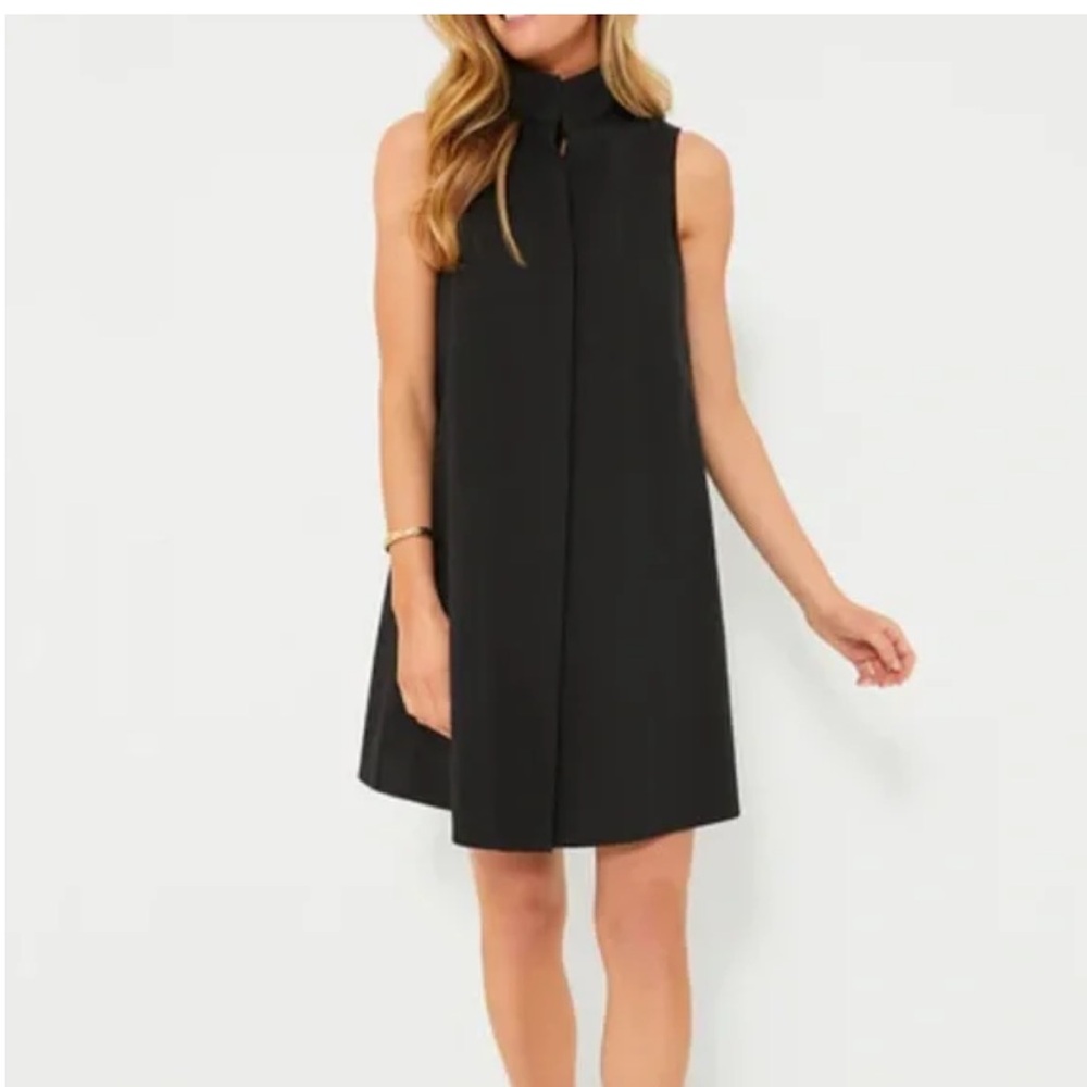 Tuckernuck Black Sleeveless Mini Dress